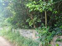 House 2798097569