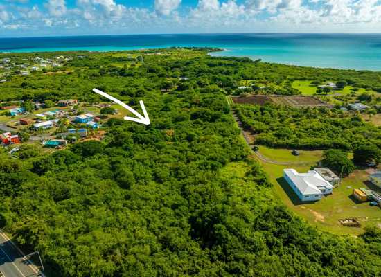 82 Carlton WE, 24-2010, Other, Lots and Land,  for sale - Dionne Nelthropp, Hibiscus Homes