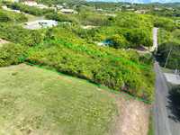 House 2805996960