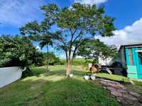 House 2965921766