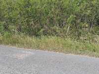 House 2808750680
