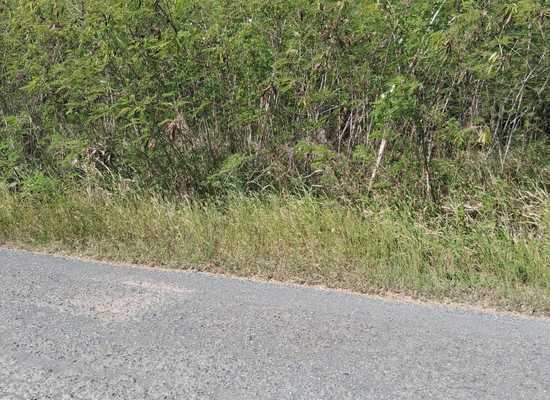 Plot 153 Enfield Green PR, 25-2244, Other, Lots and Land,  for sale - Dionne Nelthropp, Hibiscus Homes