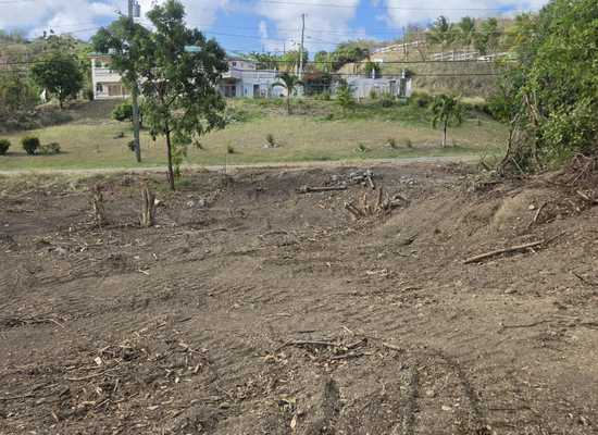 103 Mt. Pleasant EA, 25-2227, Other, Lots and Land,  for sale - Dionne Nelthropp, Hibiscus Homes