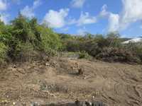 House 3008830388