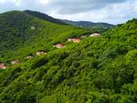 House 2809949799