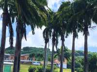 House 2960621563