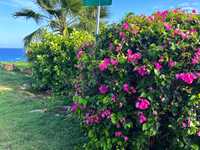 House 2812143079