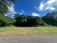 House 2812147537