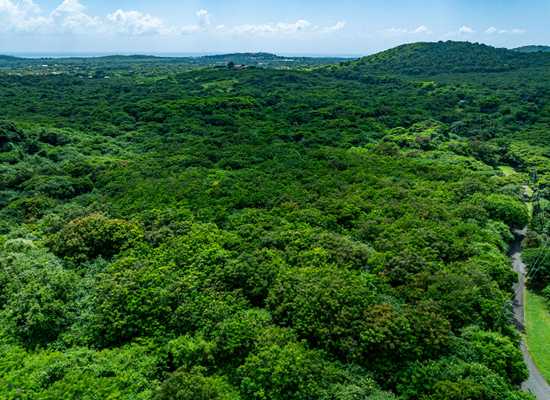 1-E River PR, 25-2286, Other, Lots and Land,  for sale - Dionne Nelthropp, Hibiscus Homes