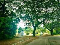 House 2812148339