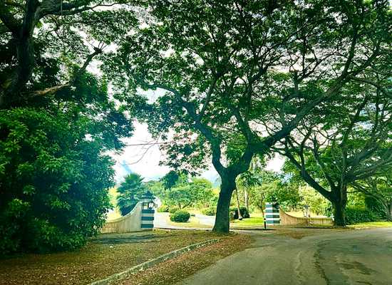 16-A River PR, 25-2287, Other, Lots and Land,  for sale - Dionne Nelthropp, Hibiscus Homes