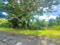 House 2812148451