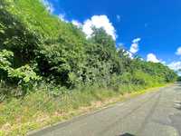 House 2812150542