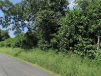 House 2818463272