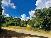 House 2818466060