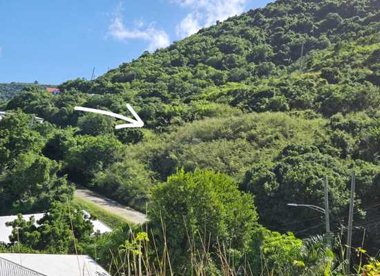 95 A Mt. Welcome EA, 25-2333, Other, Lots and Land,  for sale - Dionne Nelthropp, Hibiscus Homes