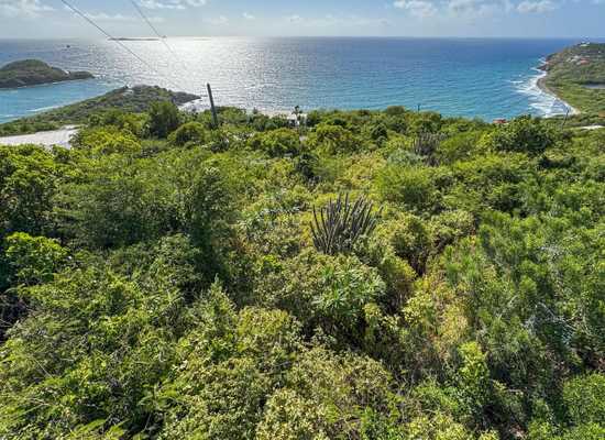 B-2 Water Island SS, 25-2100, Other, Lots and Land,  for sale - Dionne Nelthropp, Hibiscus Homes