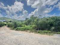 House 2821270953