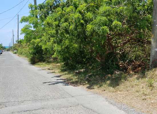6-A Hannah's Rest WE, 25-2373, Other, Lots and Land,  for sale - Dionne Nelthropp, Hibiscus Homes