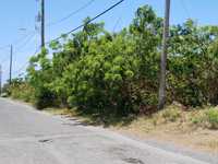 House 2823192638