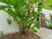 House 2891440066