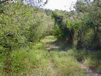 House 2824130632