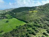 House 2824130565