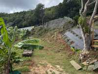 House 2824133077