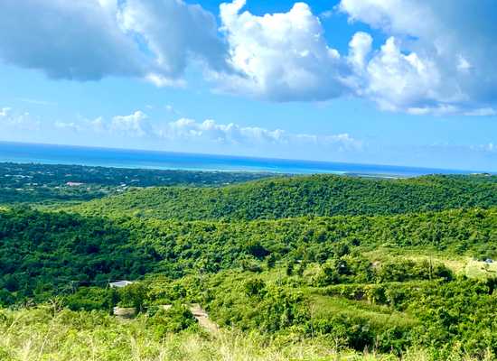 37 Hope PR, 25-2395, Other, Lots and Land,  for sale - Dionne Nelthropp, Hibiscus Homes