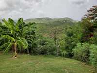 House 2935682773