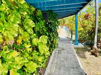 House 2828044479