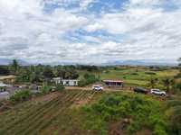 House 2830261132