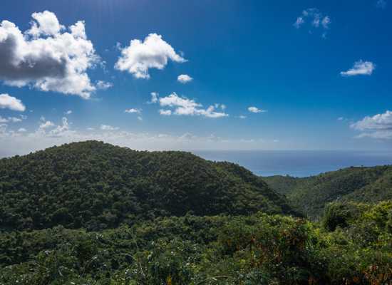 25 Mt. Victory NA, 26-4, Other, Lots and Land,  for sale - Dionne Nelthropp, Hibiscus Homes