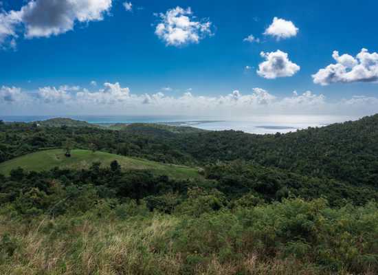 26 Mt. Victory NA, 26-5, Other, Lots and Land,  for sale - Dionne Nelthropp, Hibiscus Homes