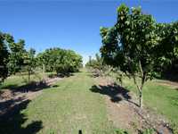 House 2836320843