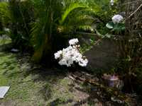 House 3025914874
