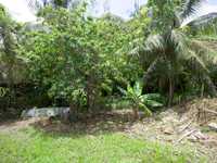 House 3025914894