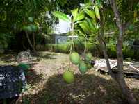 House 3025914973