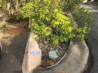 House 2836511201