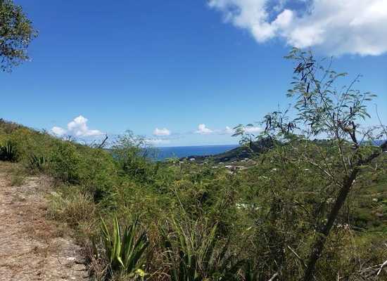 103 Hope & Carton H EB, 24-479, Other, Lots and Land,  for sale - Dionne Nelthropp, Hibiscus Homes