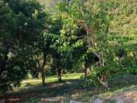 House 2935683182