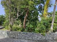 House 2840259968