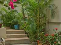 House 2841930293