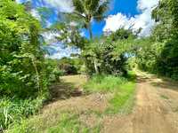 House 2843773343