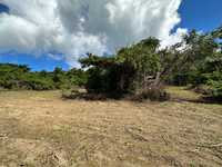 House 2843773450