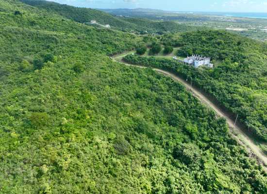 116 Frederikshaab WE, 26-70, Other, Lots and Land,  for sale - Dionne Nelthropp, Hibiscus Homes