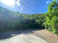 House 2844717241