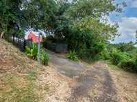 House 2967285325