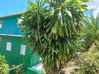 House 2847210888
