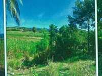 House 2847996984